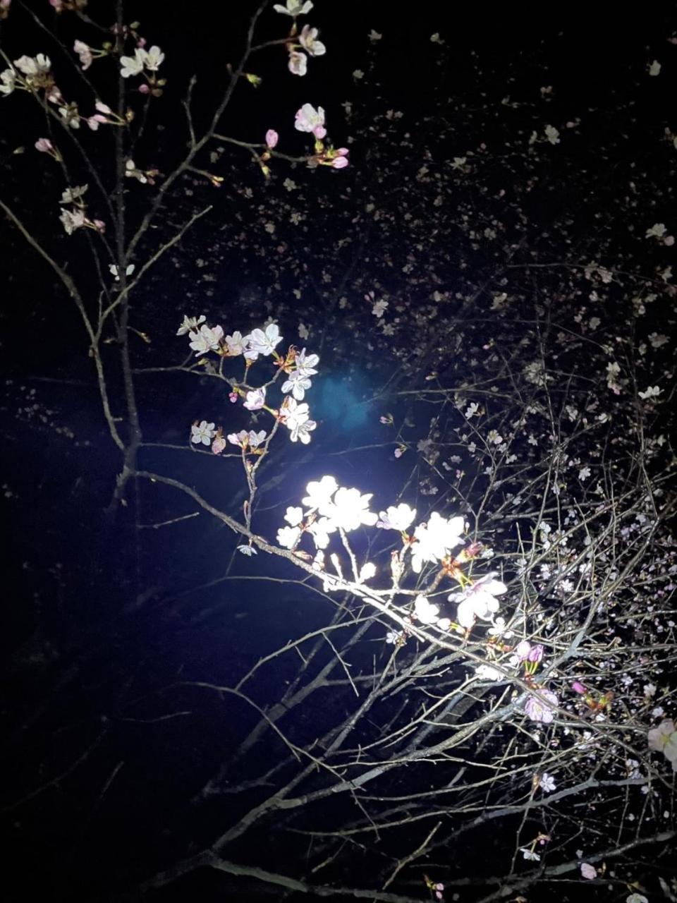 Kinugawa Keisui Hotel Nikko Buitenkant foto