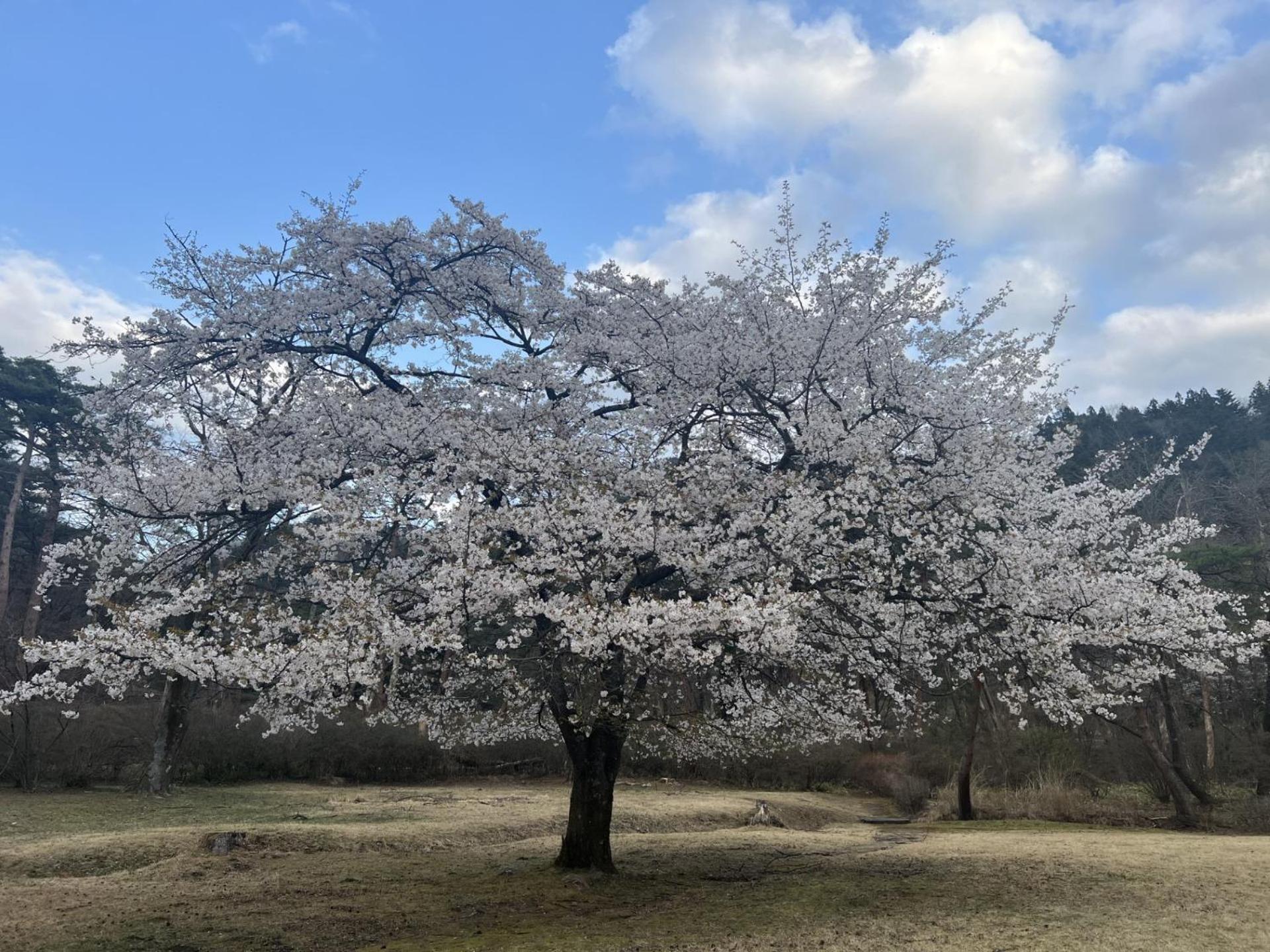 Kinugawa Keisui Hotel Nikko Buitenkant foto