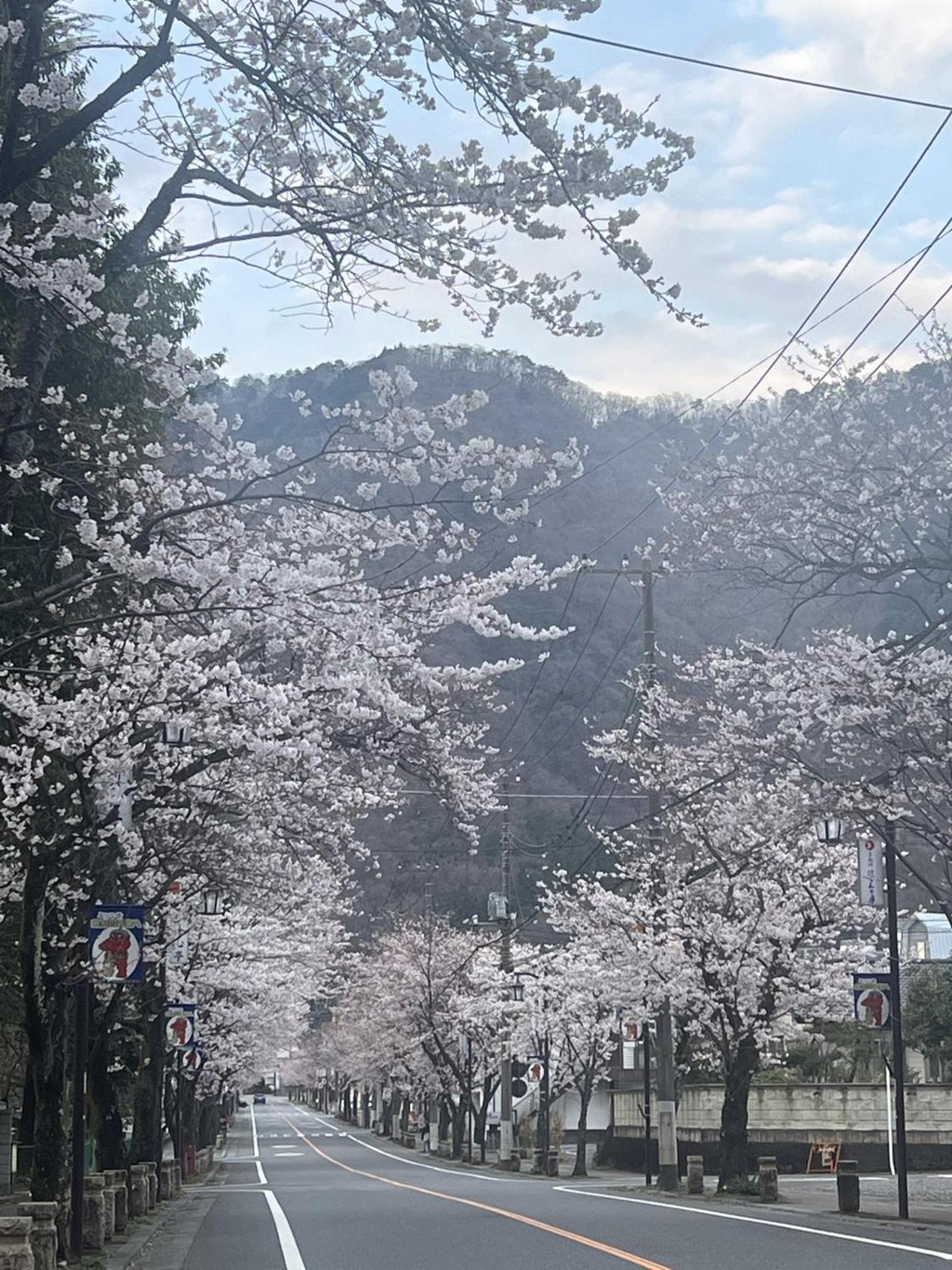 Kinugawa Keisui Hotel Nikko Buitenkant foto