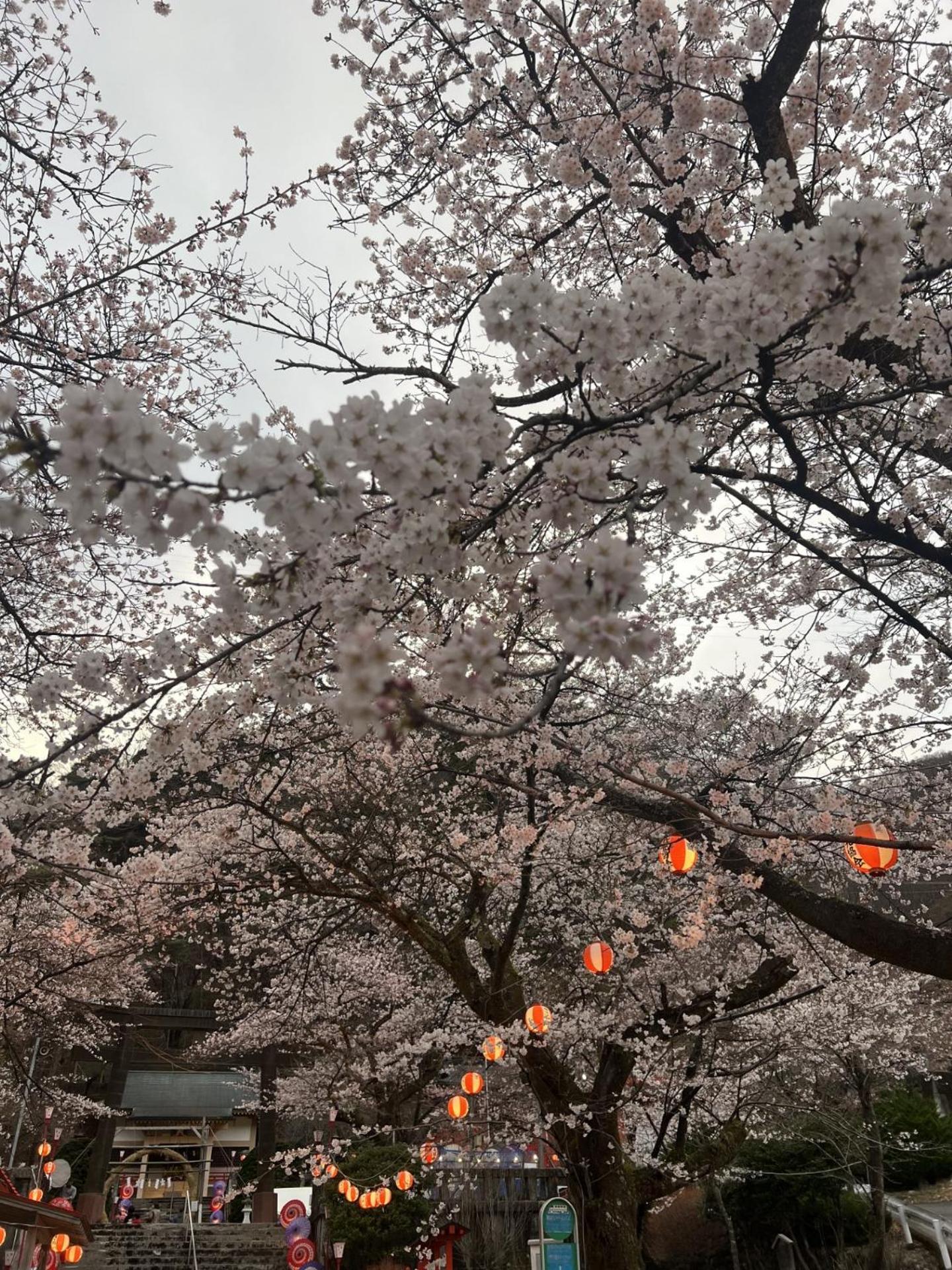 Kinugawa Keisui Hotel Nikko Buitenkant foto